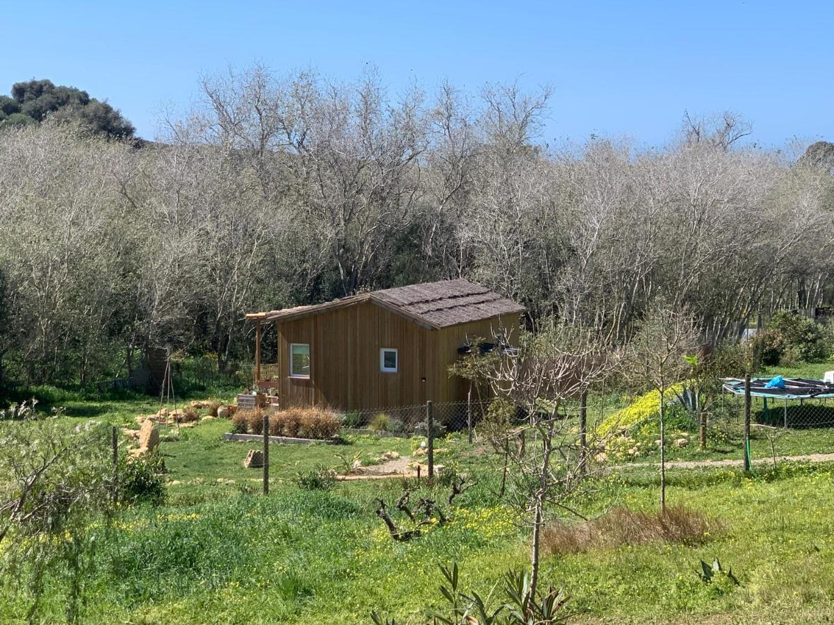 Cabana Casaotto Los Canos De Meca Eksteriør bilde